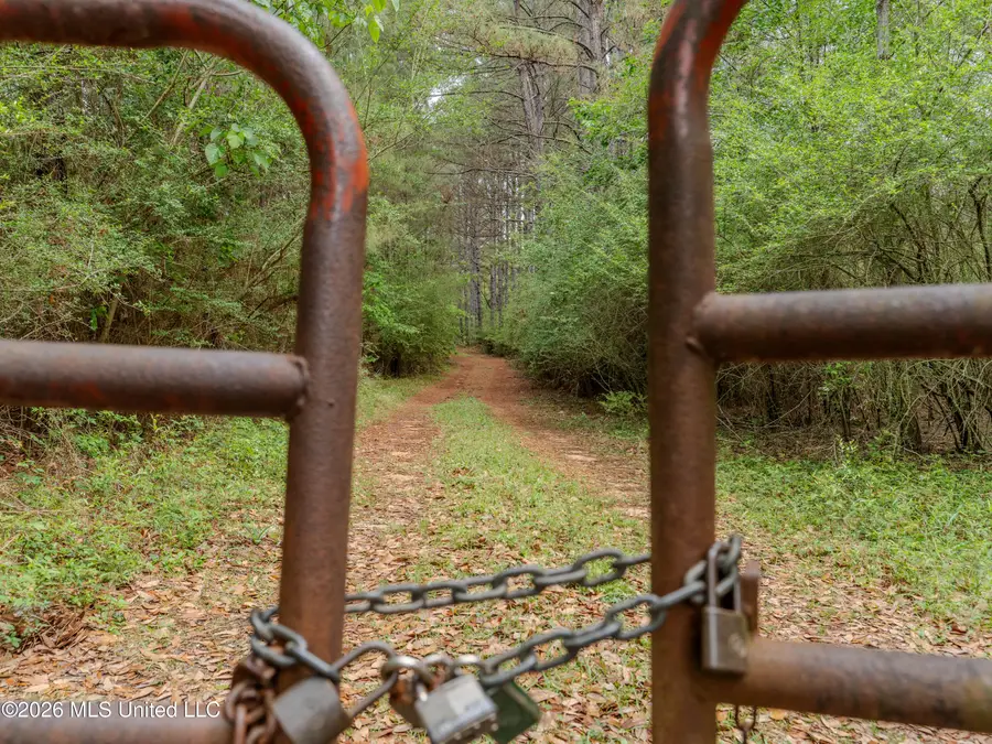 501 Stanford Lake Road, Poplarville, MS 39470 - #3