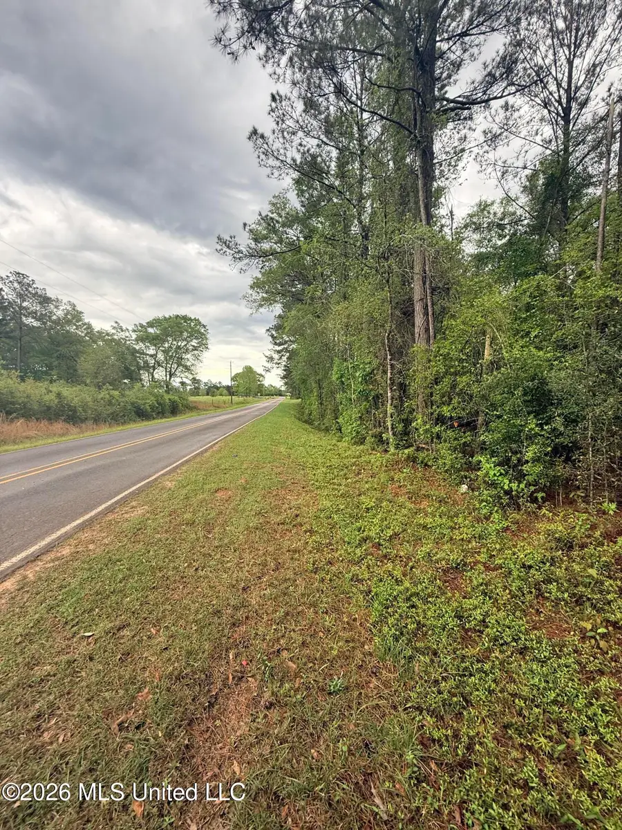 00 Rainey Road, Moselle, MS 39459 - #2