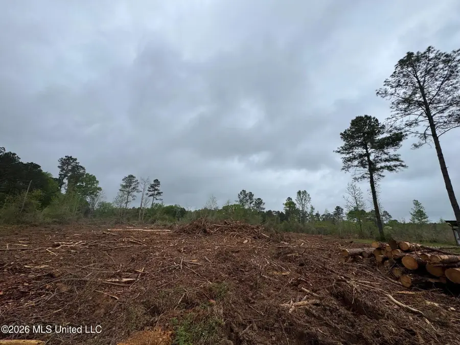 Lot 5 Dinan Salem Road, Tylertown, MS 39667 - #3