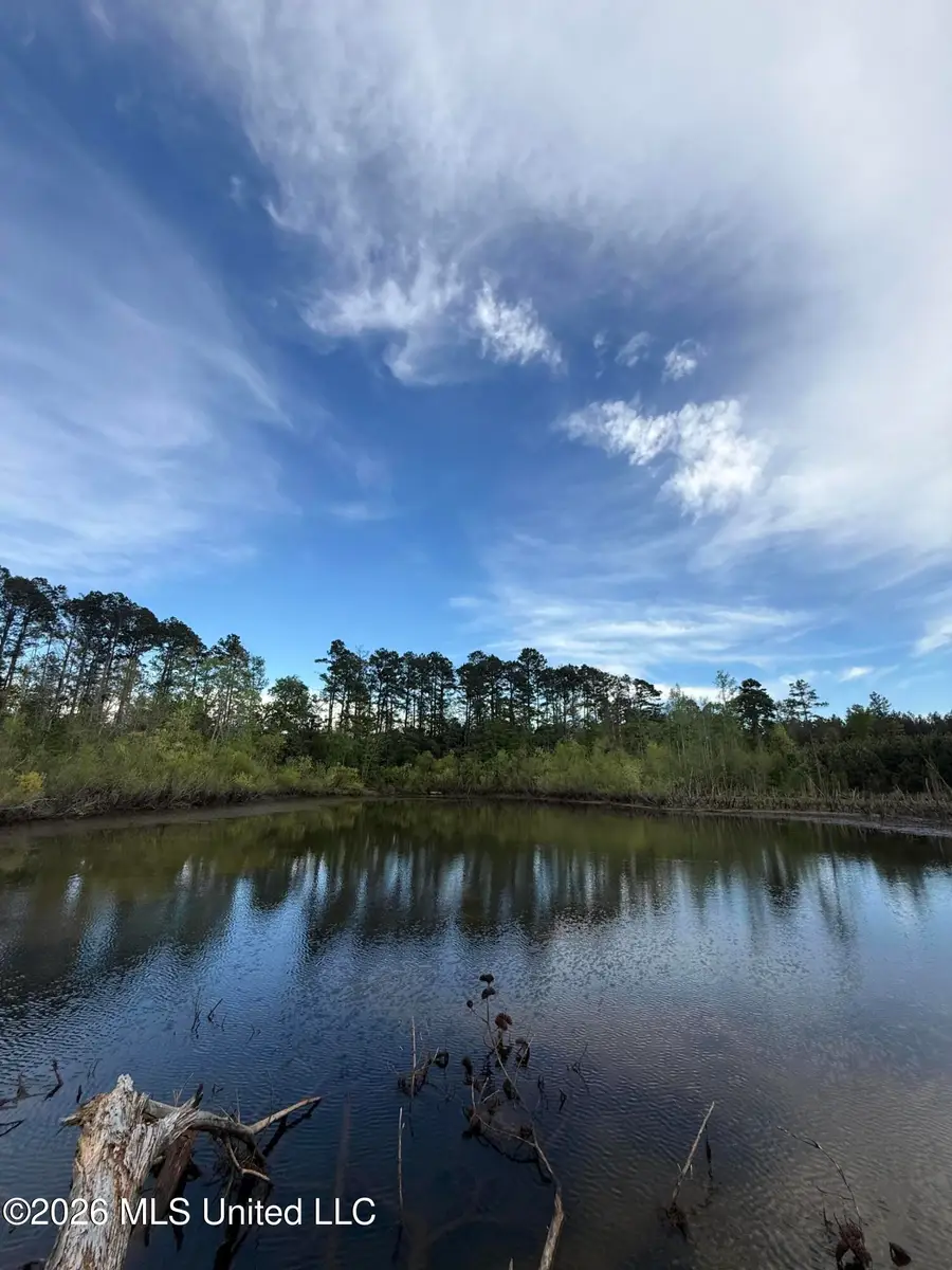 Harmony Road, Crystal Springs, MS 39059 - #2