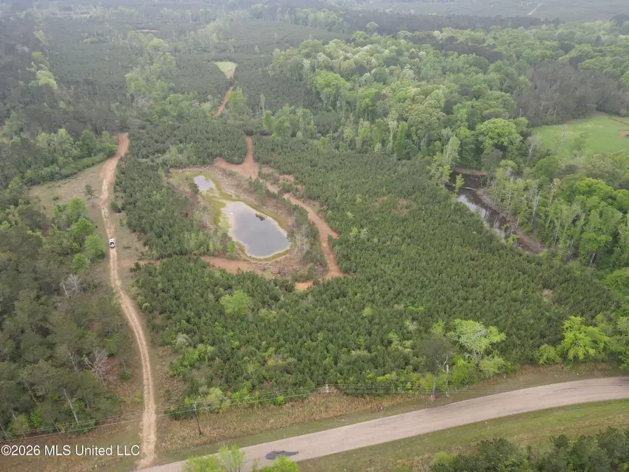 Harmony Road, Crystal Springs, MS 39059 - #3