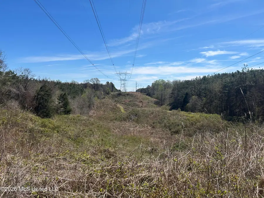 Mississippi 9, Blue Springs, MS 38828 - #2