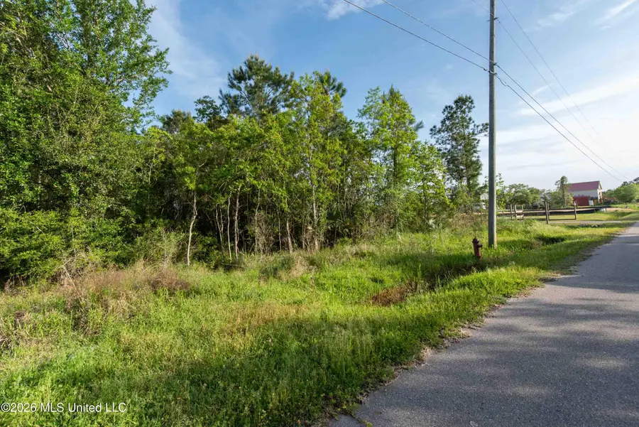 11240 E Bayou View Drive, Bay Saint Louis, MS 39520 - #3