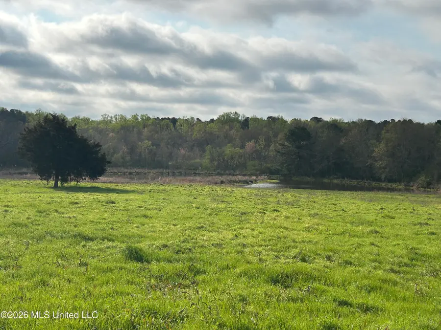 726 Neal Road, Forest, MS 39074 - #2