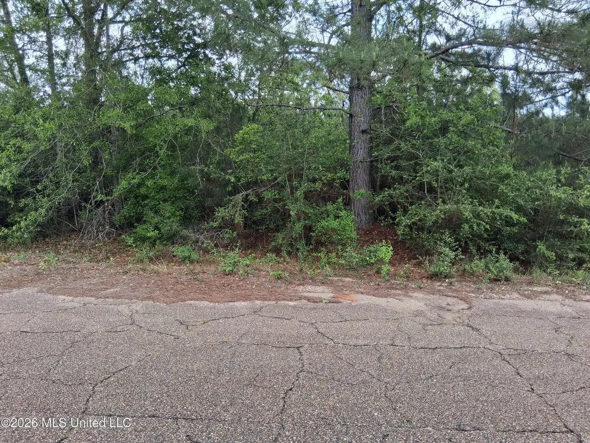 0 Ab Ladner Drive, Lumberton, MS 39455 - #1