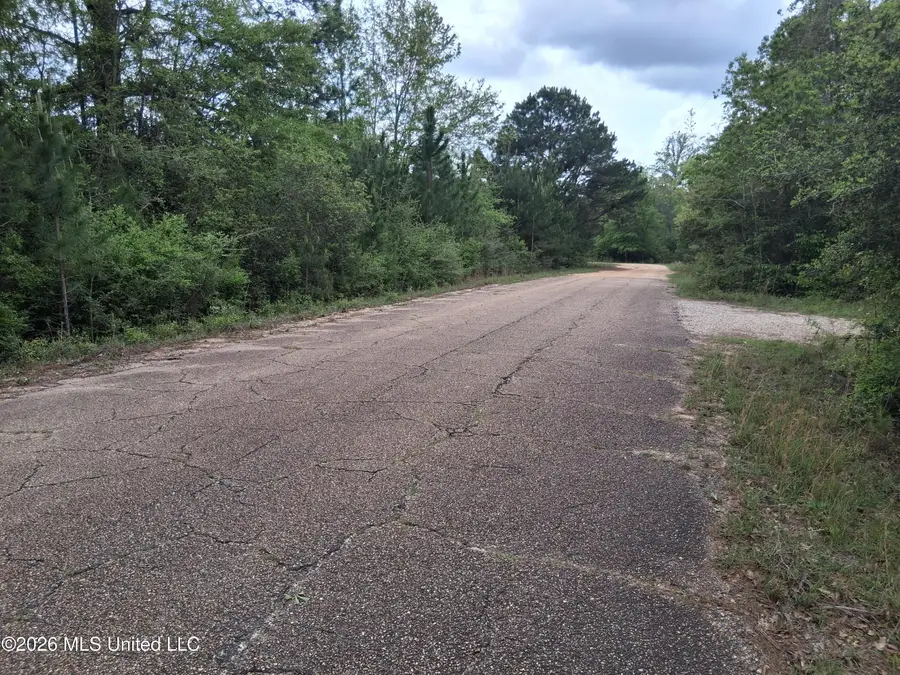 0 Ab Ladner Drive, Lumberton, MS 39455 - #3