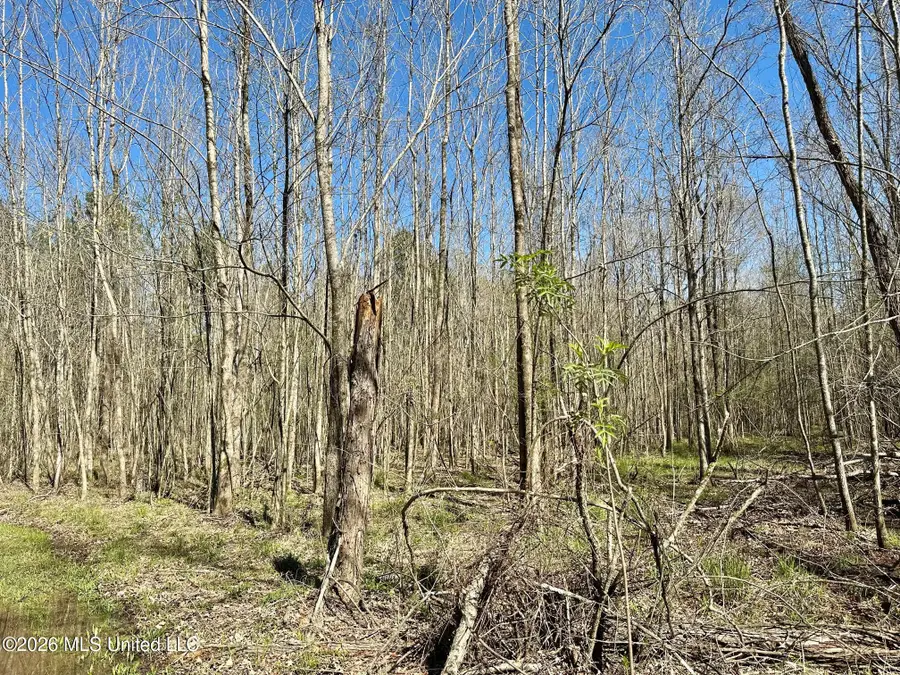 0 Swamp Road, Carthage, MS 39051 - #2