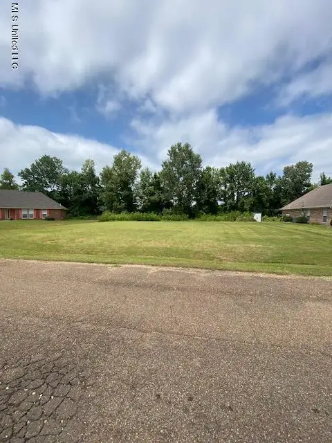 13a Sandy Cove, Clarksdale, MS 38614