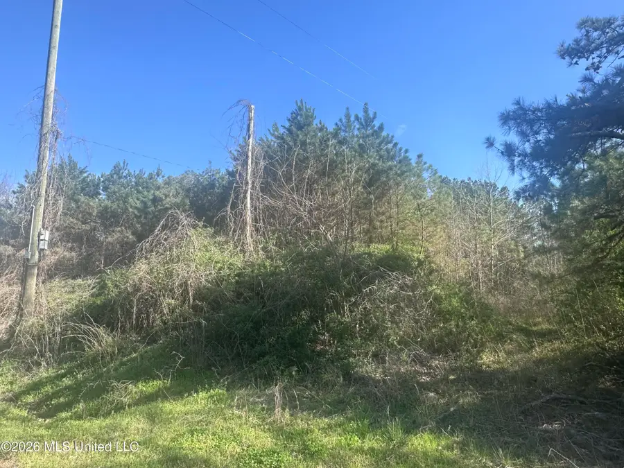 263 Humphrey Road, Holly Springs, MS 38635 - #3