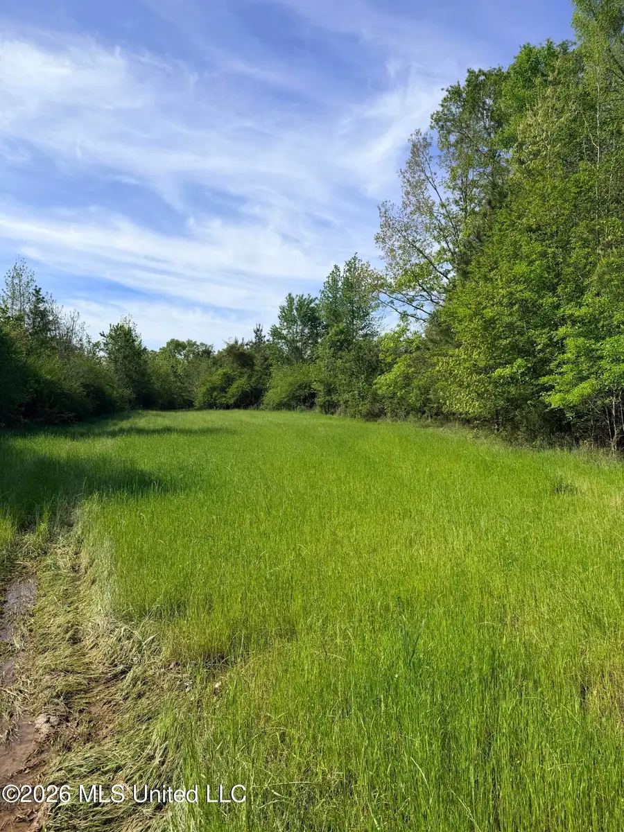 Chathaw Path, Smithdale, MS 39664 - #2