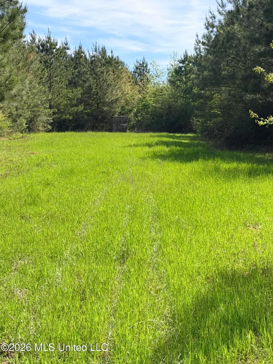 Chathaw Path, Smithdale, MS 39664 - #3