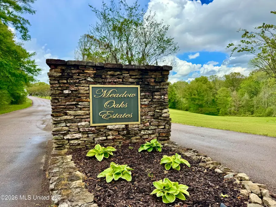 000001 Meadow Oak Lane, Clinton, MS 39056 - #2