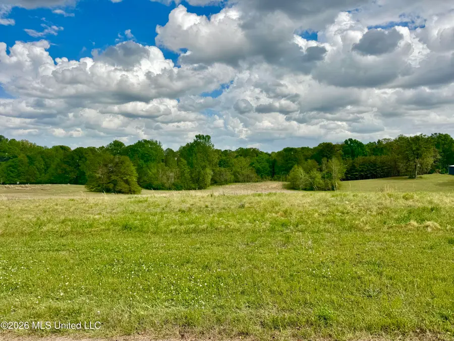 000001 Meadow Oak Lane, Clinton, MS 39056 - #3