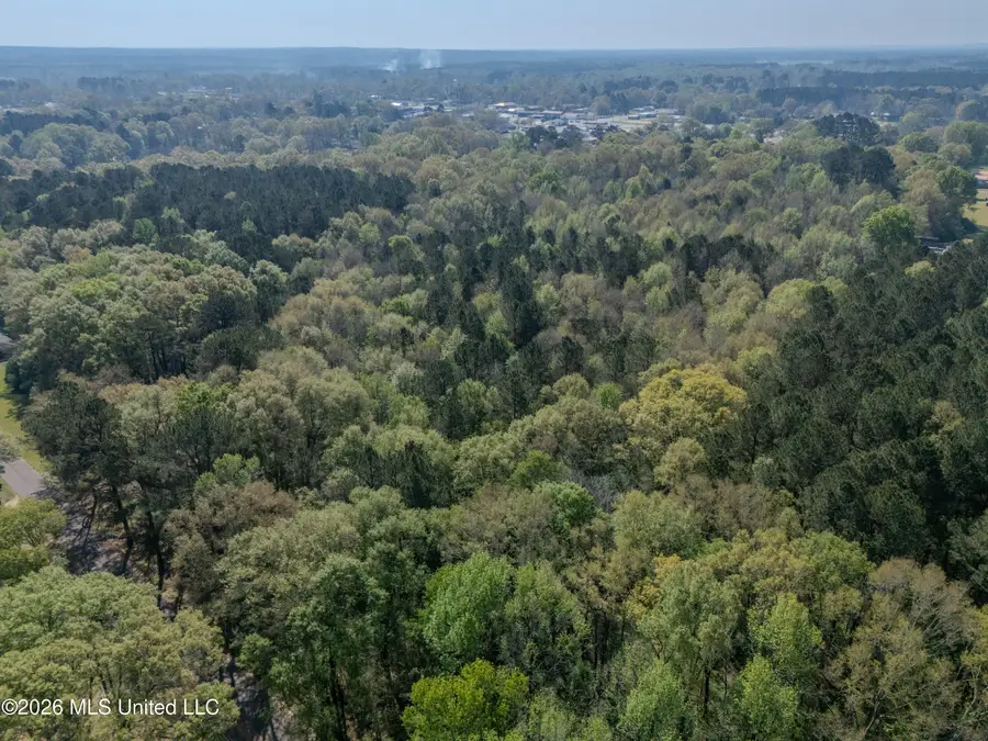 0000 High Street, Taylorsville, MS 39168 - #3