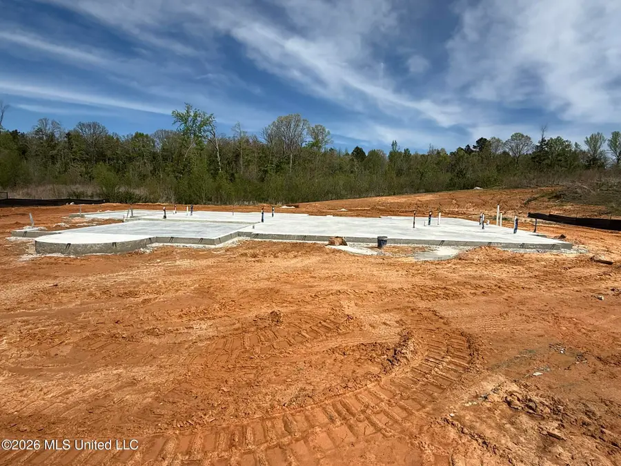 206 Poplar Lane, Holly Springs, MS 38635 - #2