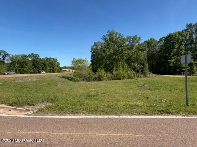 Hwy 471, Brandon, MS 39042 - #1