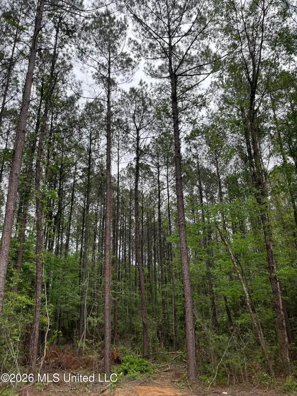 U.s. 49, Brooklyn, MS 39425