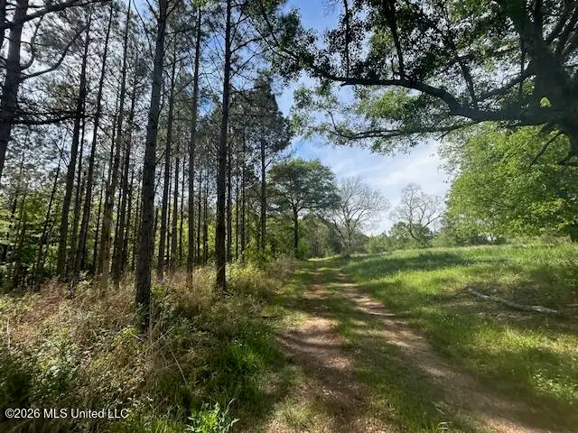 Mount Zion Lane, Sontag, MS 39665 - #2
