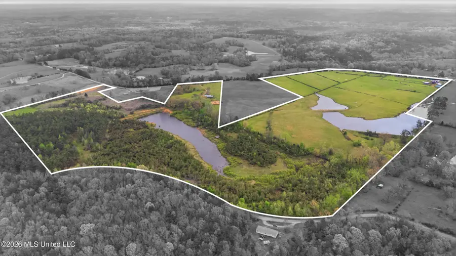 131 Laws Hill Road, Holly Springs, MS 38635 - #2