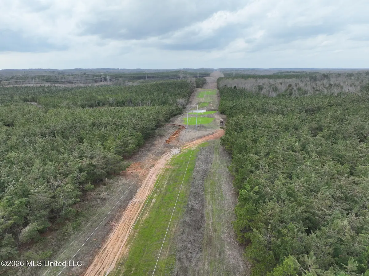 1177 County Road 194, Blue Springs, MS 38828 - #1