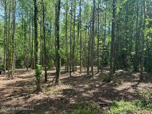 Parcel 3 Stovall Lane, Summit, MS 39666 - #2