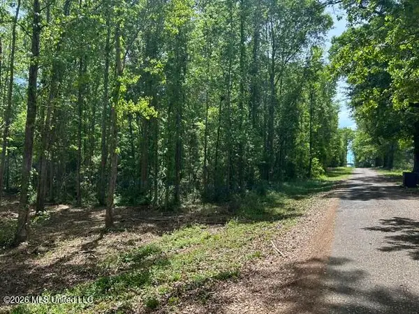 Parcel 4 Stovall Lane, Summit, MS 39666
