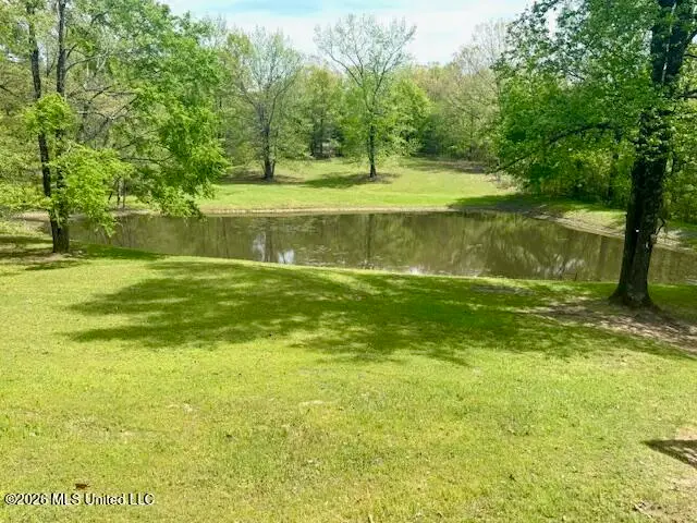 349 W Cox Road, Byhalia, MS 38611 - #3