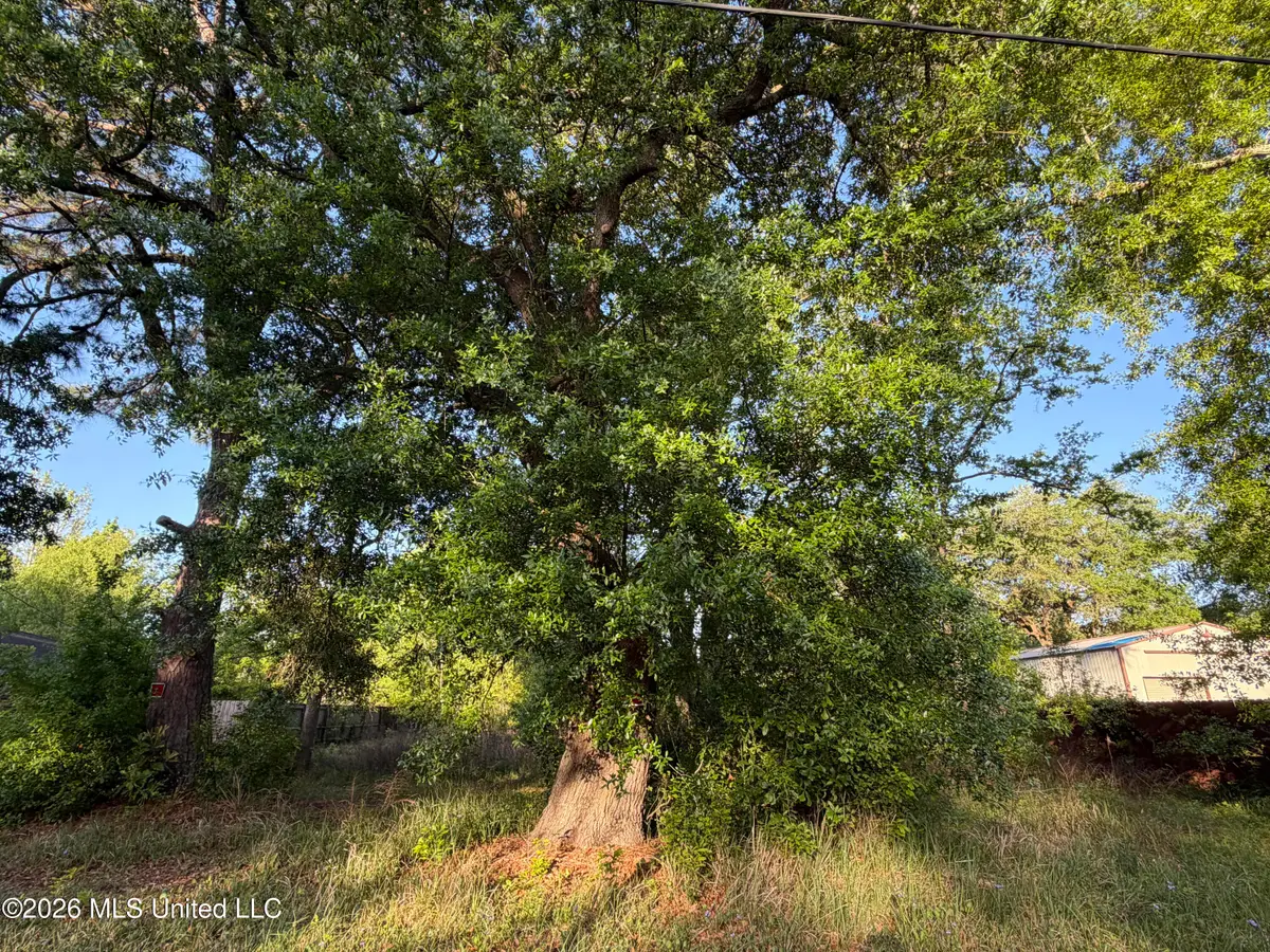 No Wilkerson Circle, Moss Point, MS 39562 - #1