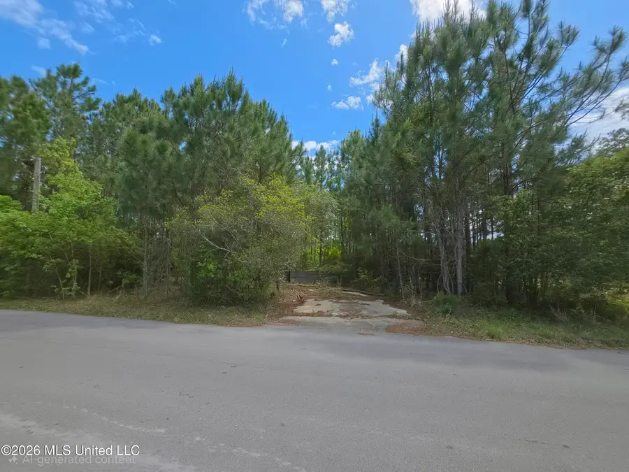 711 Josephine Street, Pass Christian, MS 39571 - #3