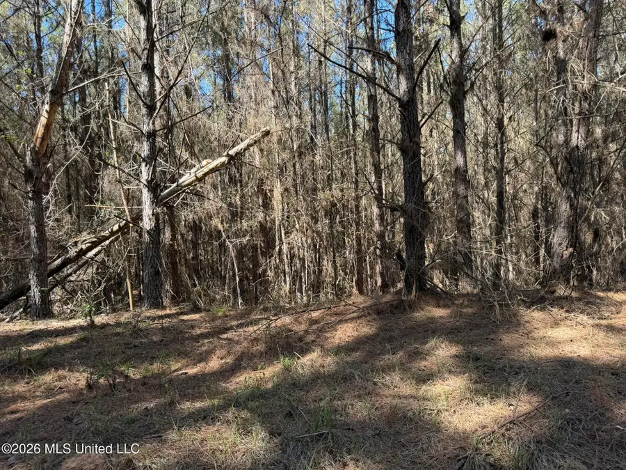 County Road 4103, Sallis, MS 39160 - #3