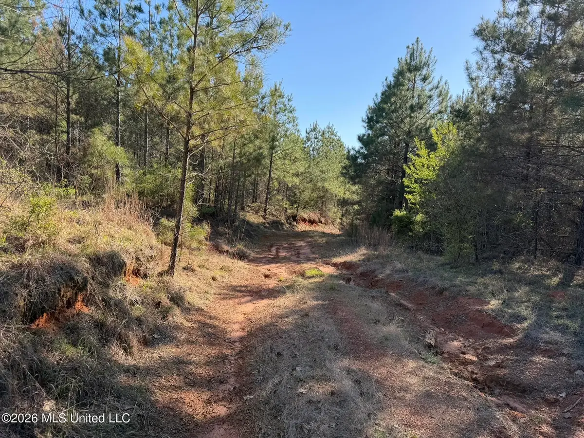 Co Rd 5005, Kosciusko, MS 39090 - #1