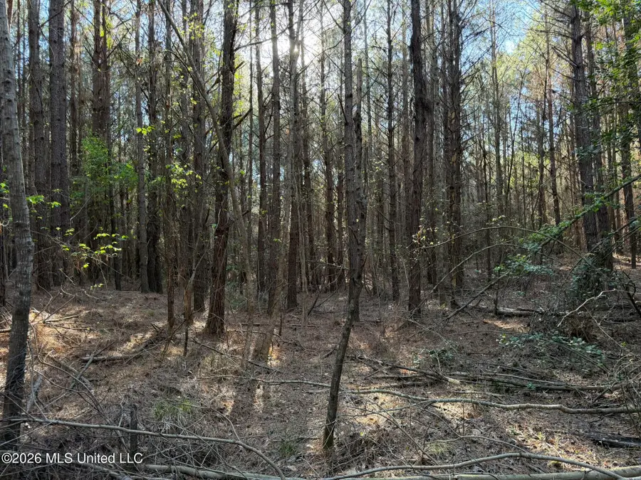 Co Rd 5005, Kosciusko, MS 39090 - #3