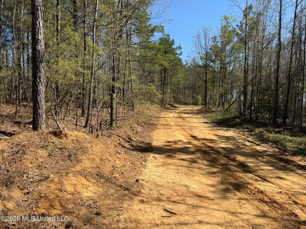 County Road 4102, Goodman, MS 39079 - #1