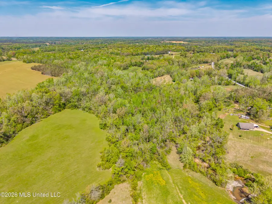 2836 Anthony Road, Pope, MS 38658 - #3