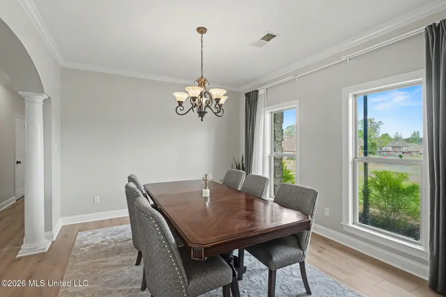 1785 Cashion Cove, Hernando, MS 38632 - #3