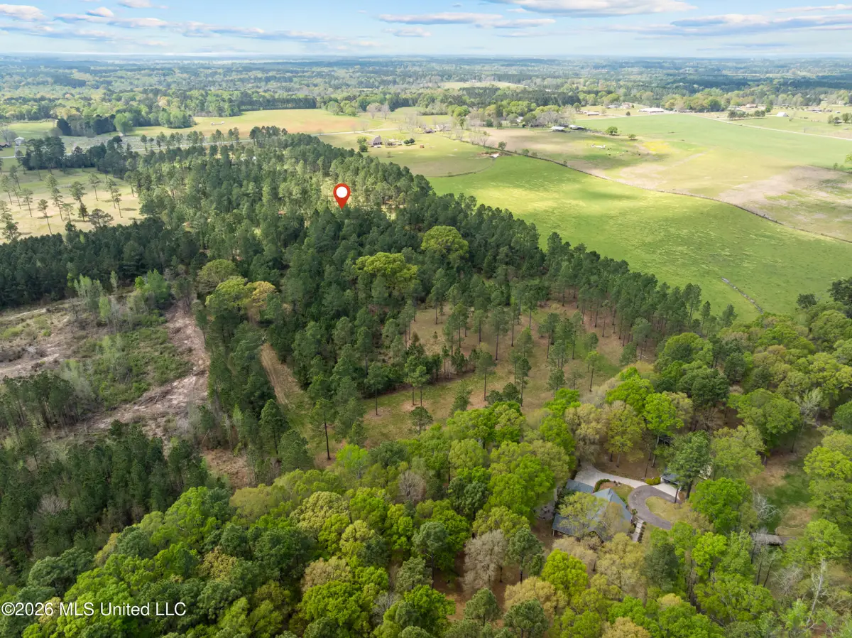 Coal Town Road, Purvis, MS 39475 - #1