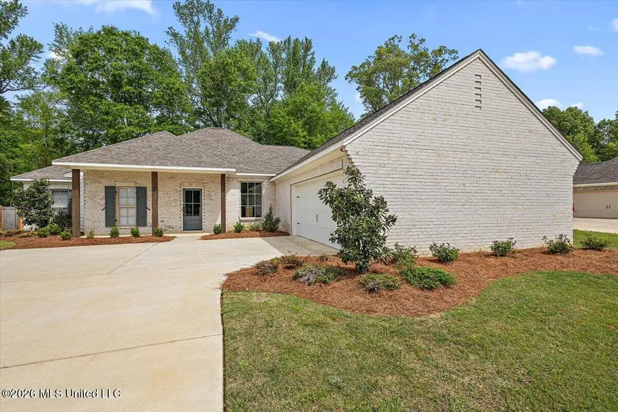217 Jasmine Cove Circle, Brandon, MS 39042 - #2
