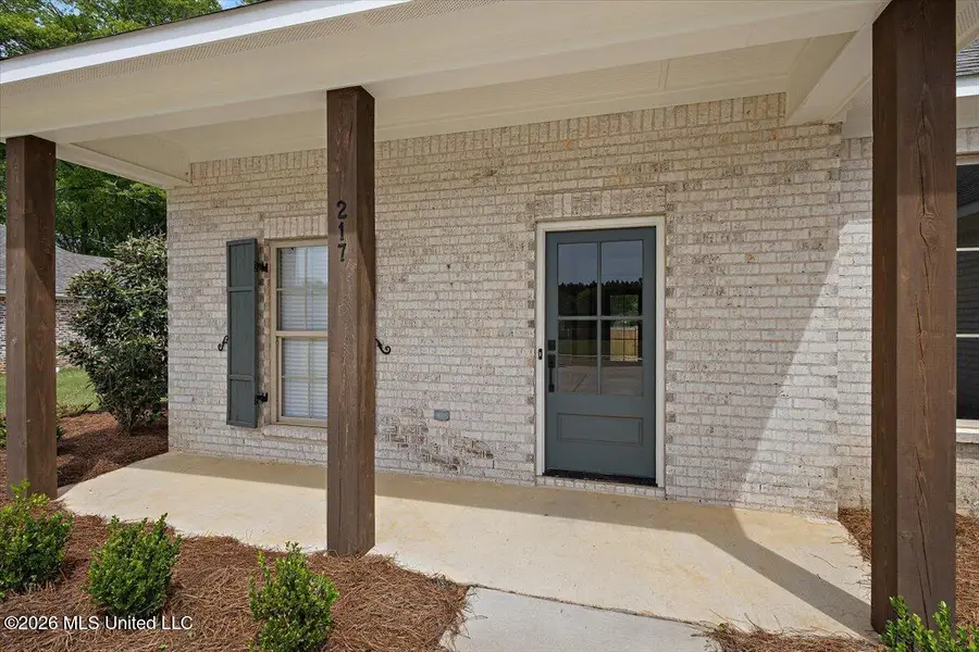 217 Jasmine Cove Circle, Brandon, MS 39042 - #3