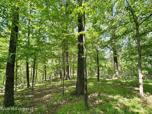 0 Malmaison Road, Carrollton, MS 38917