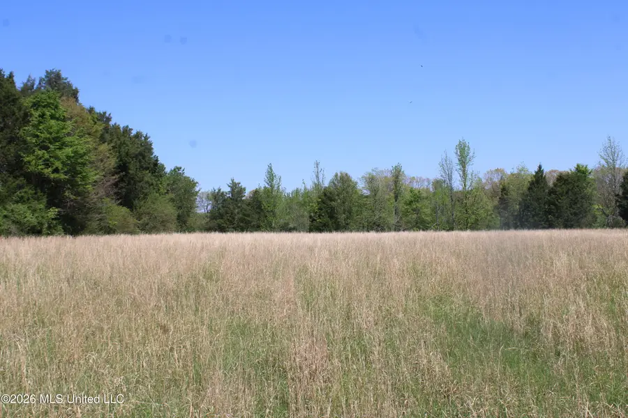 600 Turner Cove, Holly Springs, MS 38635 - #2