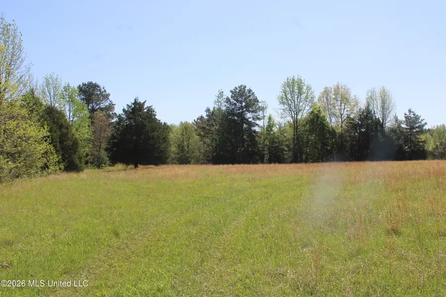 600 Turner Cove, Holly Springs, MS 38635 - #3