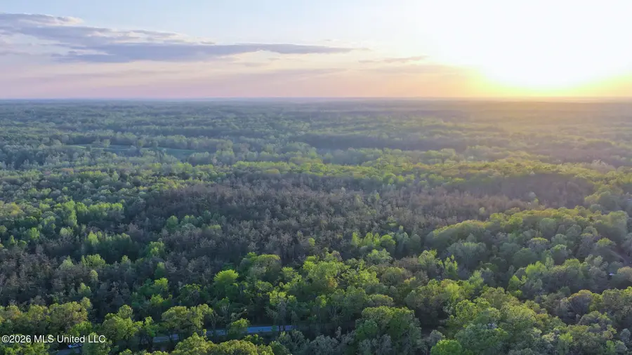 Dees Rd. Road, Enid, MS 38927 - #2