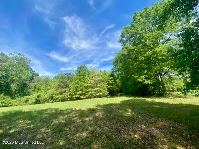 Tbd Moaks Creek Road, Summit, MS 39666 - #2