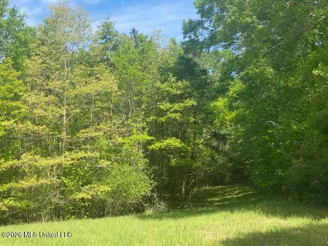Tbd Moaks Creek Road, Summit, MS 39666 - #3