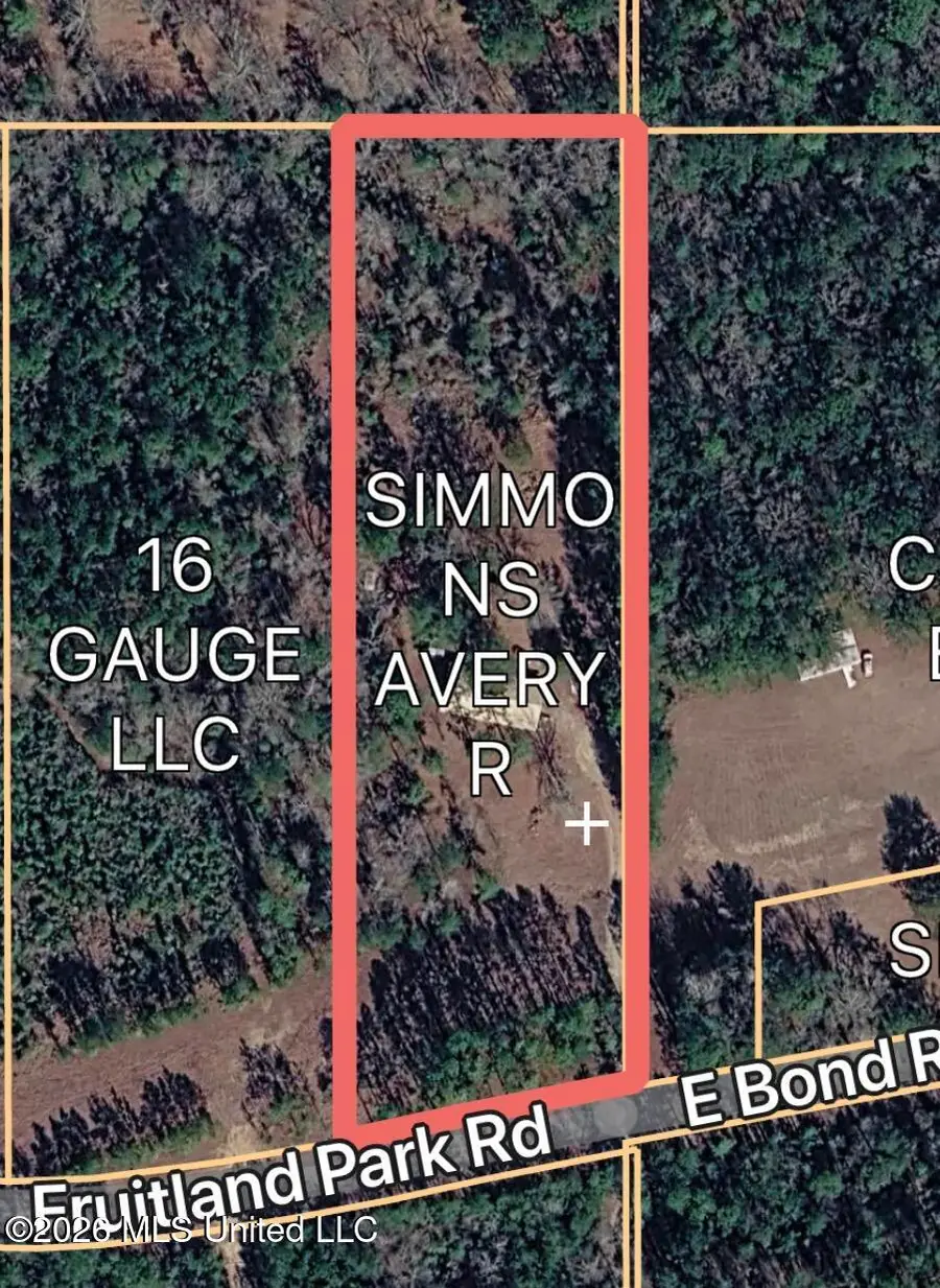 551 Fruitland Park Road, Wiggins, MS 39577 - #3