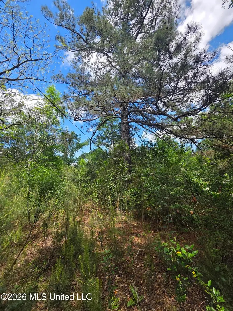 1004 Zone Road, Magnolia, MS 39652 - #2