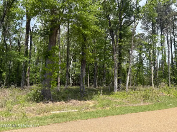 Bridgewater Bend, Ridgeland, MS 39157