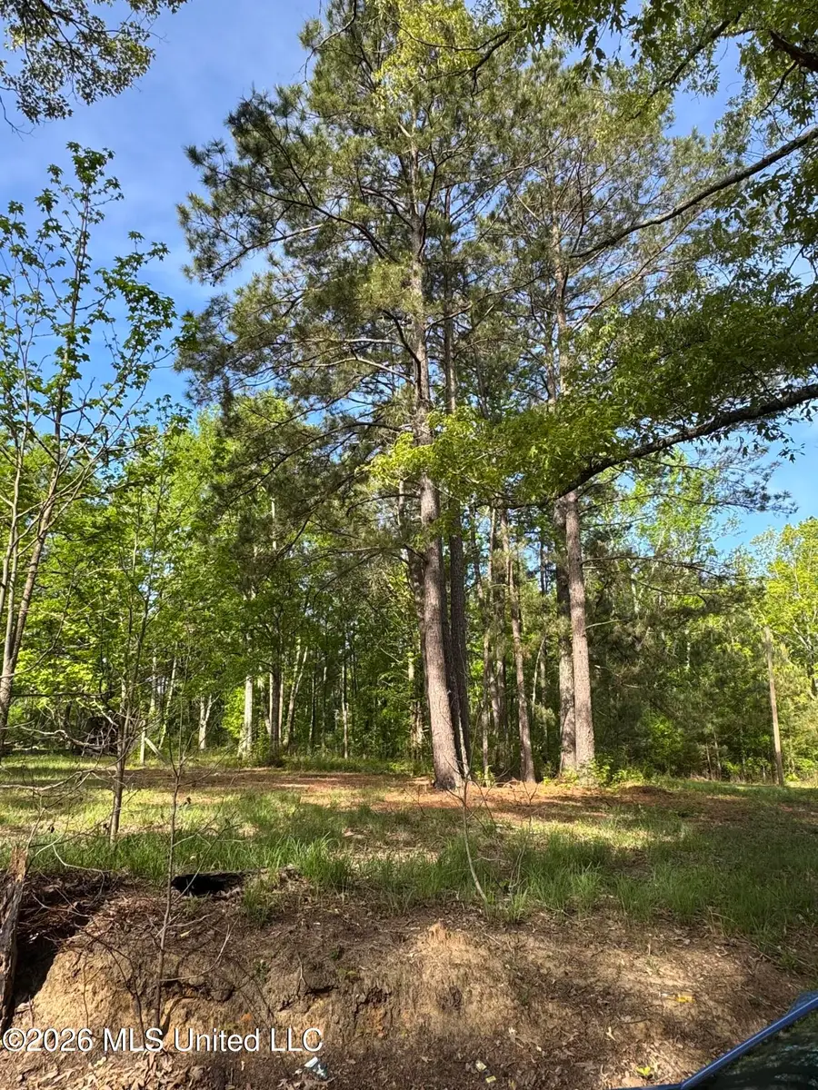 0 Stump Road, Gloster, MS 39638 - #2