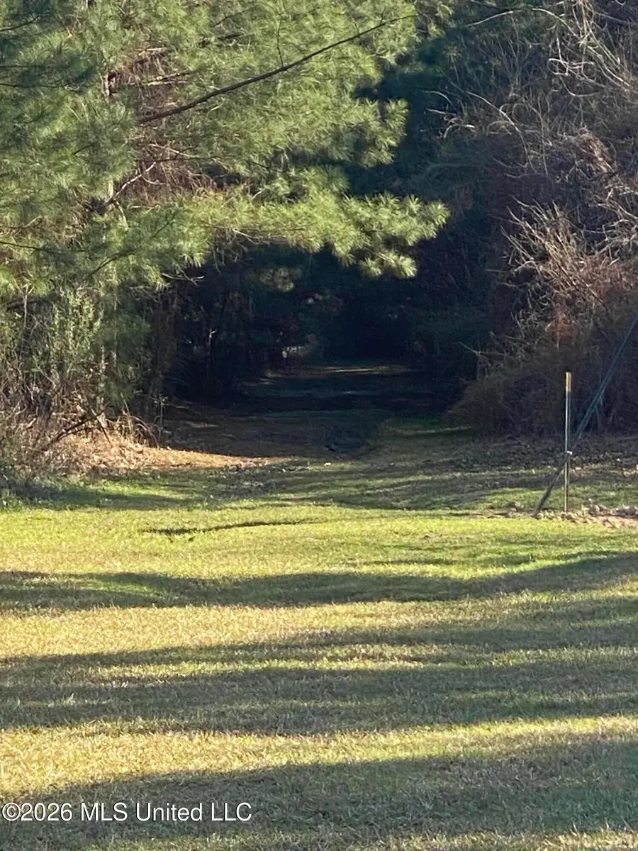 Tbd County Road 48, Gloster, MS 39638 - #2