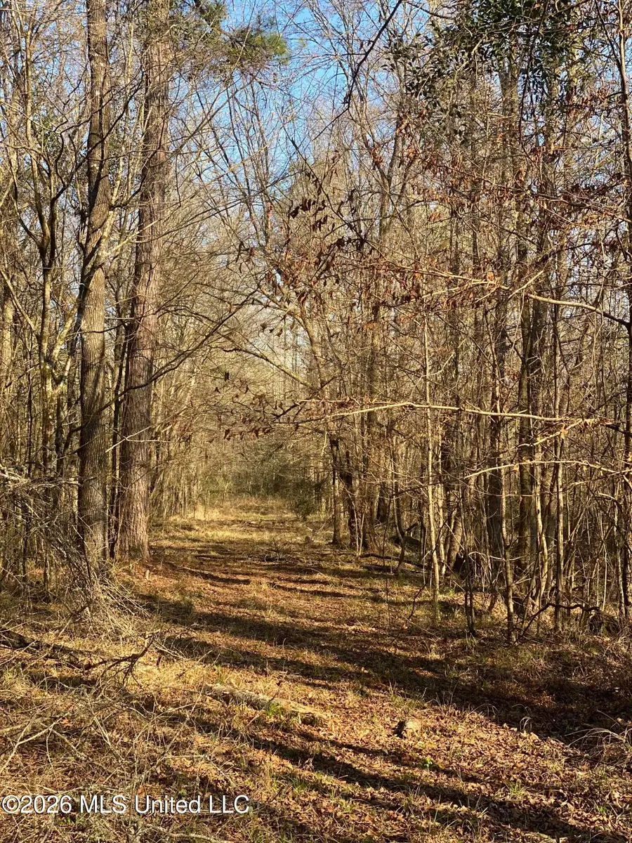 Tbd County Road 48, Gloster, MS 39638 - #3